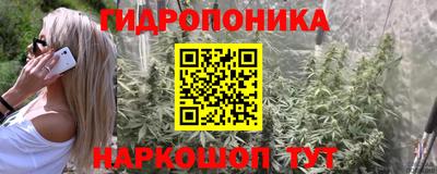 спайс Изобильный