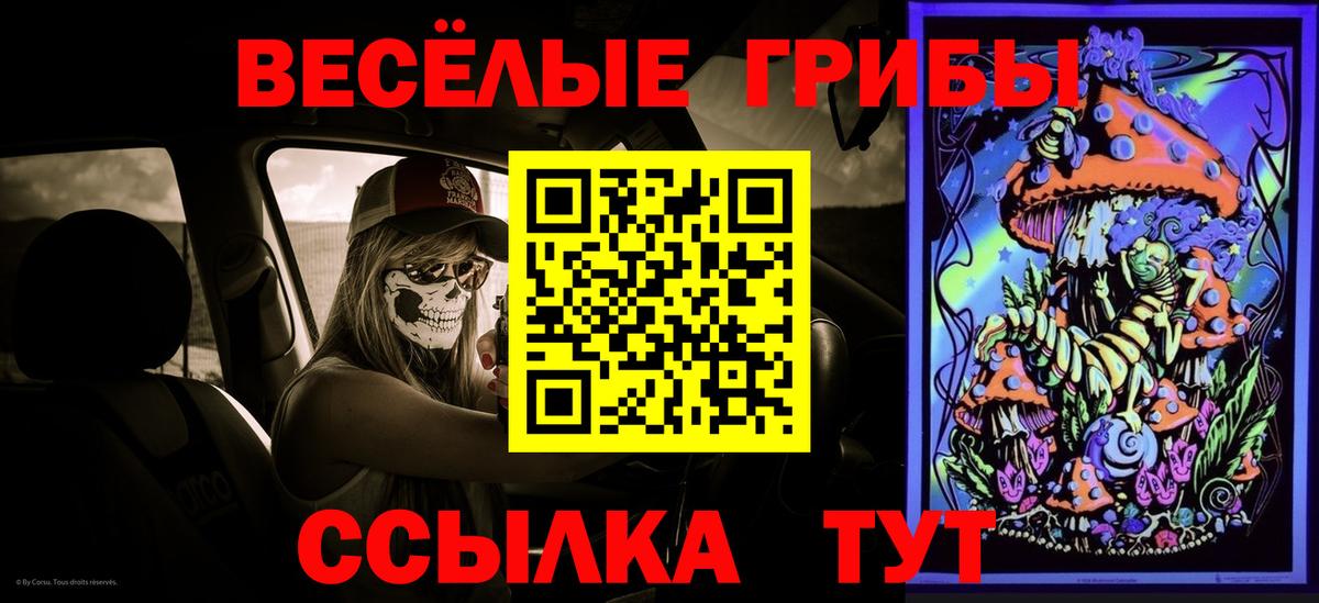 Галлюциногенные грибы Psilocybine cubensis Лысьва